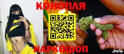 гашиш Кингисепп