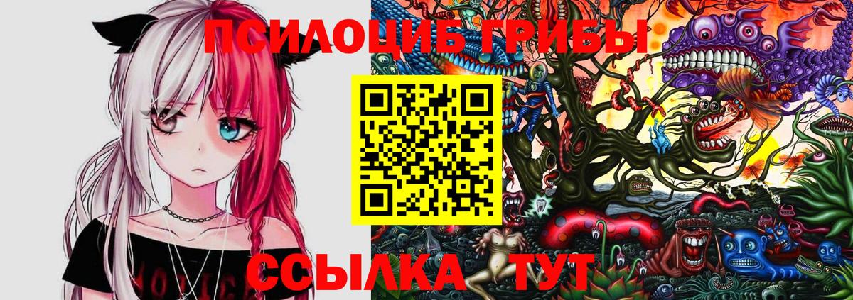 Псилоцибиновые грибы мухоморы Конаково