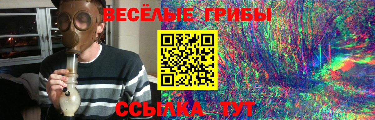 Псилоцибиновые грибы MAGIC MUSHROOMS  Вход с VPN  Конаково  Псилоцибиновые грибы мицелий 
